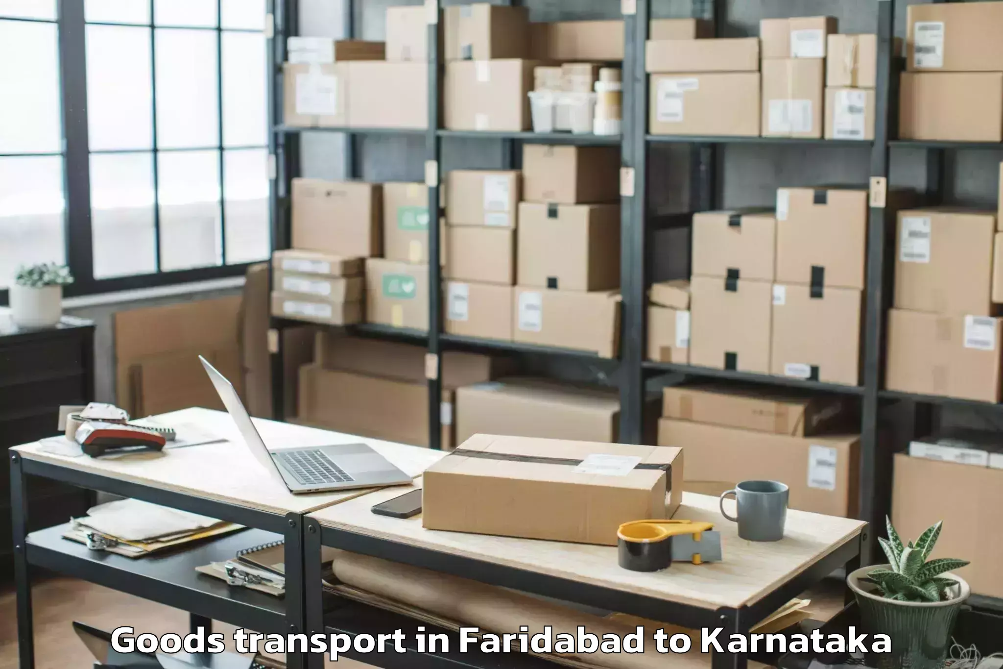 Get Faridabad to Hagaribommanahalli Goods Transport